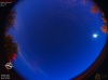 03:31:19 (*684)