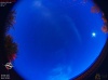 03:41:30 (*456)