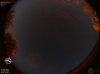 02:12:29 (*617)