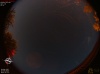 02:29:43 (*595)