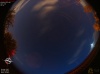 03:15:57 (*468)
