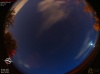 03:18:17 (*421)