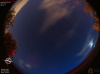 03:19:05 (*420)