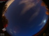 03:19:52 (*420)