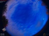03:54:19 (*65)