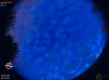 04:00:45 (*264)