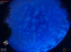 04:04:47 (*481)