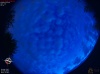 04:06:24 (*487)