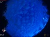 04:07:11 (*442)