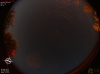 01:01:50 (*618)