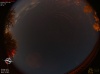 02:39:48 (*584)