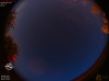 03:17:24 (*617)