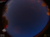 03:18:11 (*616)