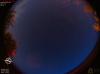 03:19:46 (*590)
