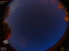 03:21:20 (*635)