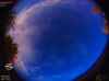 03:36:13 (*245)