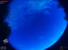 04:03:01 (*28)
