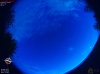 04:04:39 (*39)