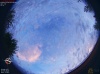 05:03:29