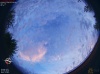 05:04:16