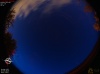 22:00:46 (*469)