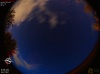 22:07:49 (*401)