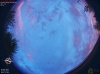 06:02:54