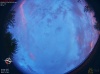 06:03:41