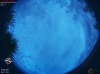 06:06:49