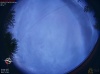 06:16:58