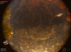 21:10:37 (*436)