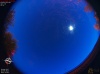 05:07:29 (*490)