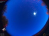 05:09:03 (*473)