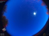 05:09:50 (*445)