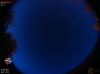 20:14:04 (*439)