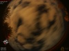 00:15:37 (*37)