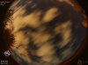 01:08:54 (*135)