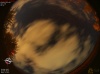 01:23:01 (*175)