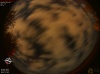 02:02:12 (*38)