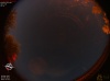 02:41:51 (*747)
