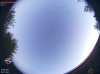 06:04:31