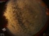 23:05:47 (*44)