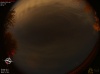 02:58:36 (*195)