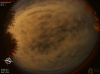 04:30:16 (*34)