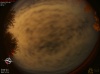 04:31:50 (*34)