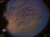 05:11:00 (*245)