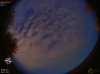 05:13:21 (*305)