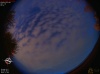05:14:55 (*390)