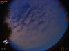 05:15:42 (*311)