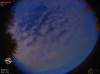 05:16:29 (*306)